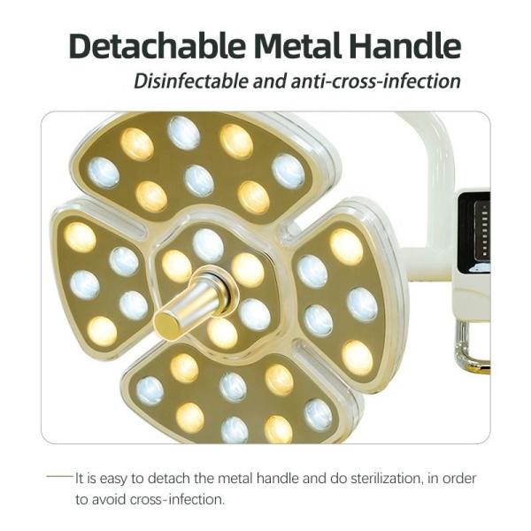 AC 15V-24V Dental LED Lamp , Multifunctional LED Dental Operatory Lights