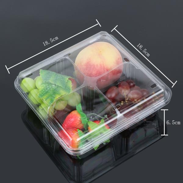 Supermarket 4 Compartment Blister Disposable Plastic Food Box
