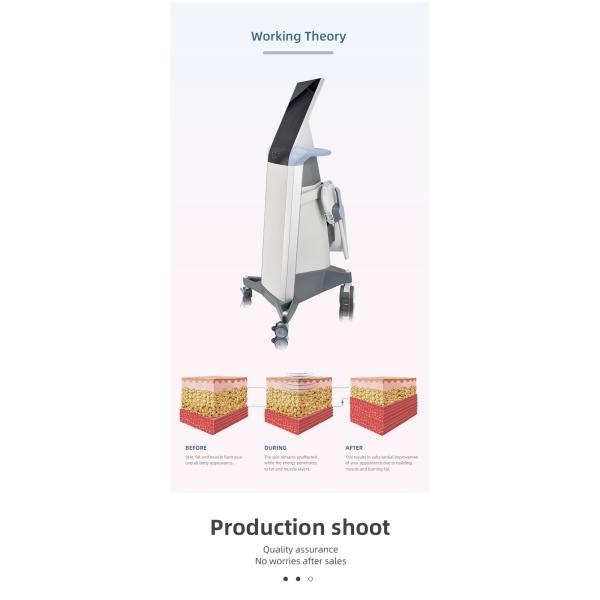 EMSlim Build Muscle And Burn Fat Eletromagnetic Field Technology EMS Body Sculpting Equipment EMSculpture For Sale