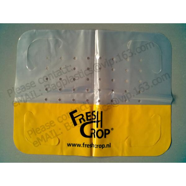 Clear Poly Sheeting Lay Flat Tubing Layflat Tubing Tubing Bags Auto Bags Polythene Sheet Polythene Packaging Film, Bagea