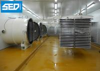 250KGS 380V 50HZ Per Batch Freeze Dry Machine Fruit And Vegetable Freeze Dryer Lyophilizer Chamber Material SUS304/δ8mm