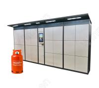 As 24 horas espertas de Wifi que vende o cilindro da troca do gás de GNL do LPG do cacifo clicam e recolhem o pagamento com cartão de crédito
