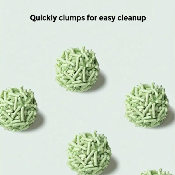 Lit de chat de thé vert frais pour félins, précieux, rincé, biodégradable, à accumulation rapide