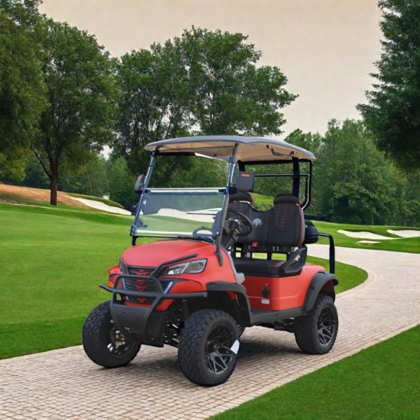 HM Customized 2 Seater Golf Cart 800kg Max Load Capacity and 48V/60V/72V Battery