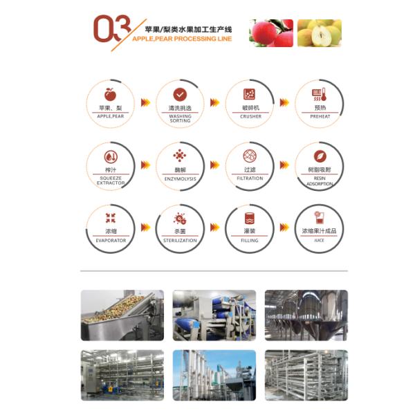 Apple Pear Beverage Production Line SS304 Small Capacity Custom Weight