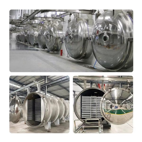 Full Automatic Customized Food Grade Vacuum Lyophilizer with 5 Years Warranty Freeze Dry Machine