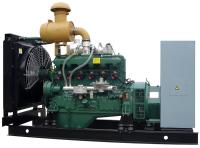 70kw - générateur en bois de gaz d'alternateur de Polonais du générateur 4 du gaz 700kw naturel