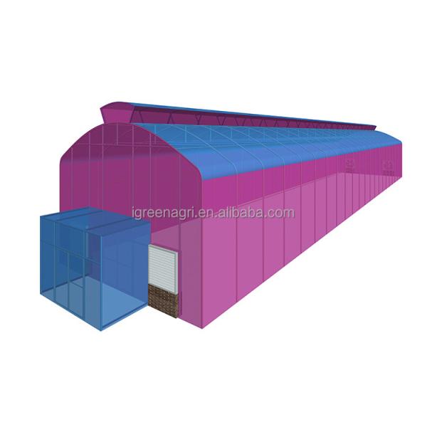 Single Layer Wind Resistant Greenhouse Rain Shelter For Maximum Protection