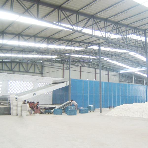 Fungus Mushroom Grain Continuous Belt Dryer Multilayer Large Scale