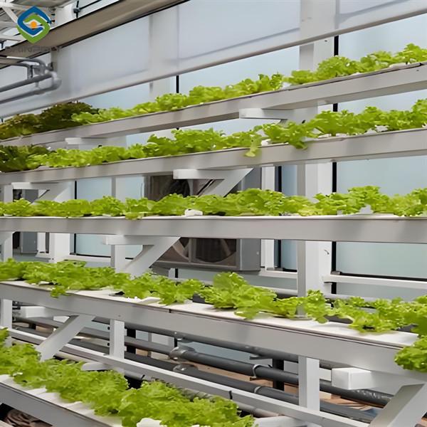 ISO Certification Commercial Hydroponic Greenhouse For Agriculture Anti Corrosion