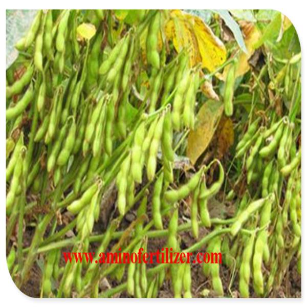 Leguminosa amino mais o quelato Foliar 20kg do ácido aminado do cobalto do adubo pela embalagem do saco