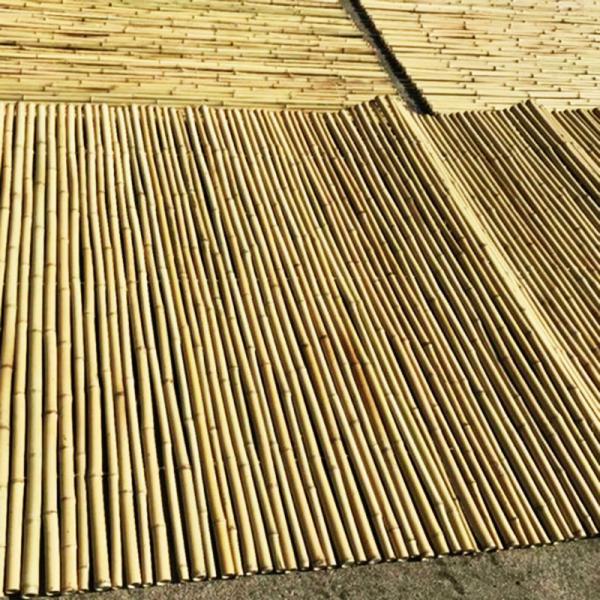 Reusable Rolled Bamboo Privacy Screen