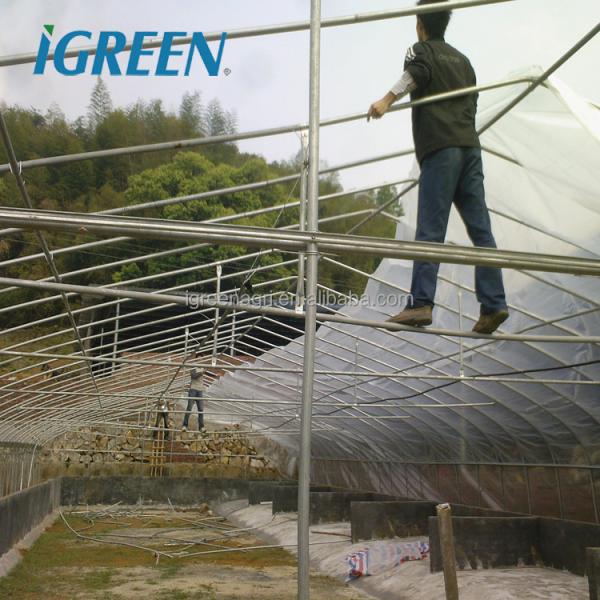WL8132X Single Greenhouses Agricultural Plastic Film Panels 7-10m