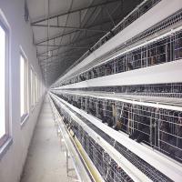 o tipo gaiola da bateria A de 3Tiers 4Tiers da galinha para as camadas ISO9001 certificou