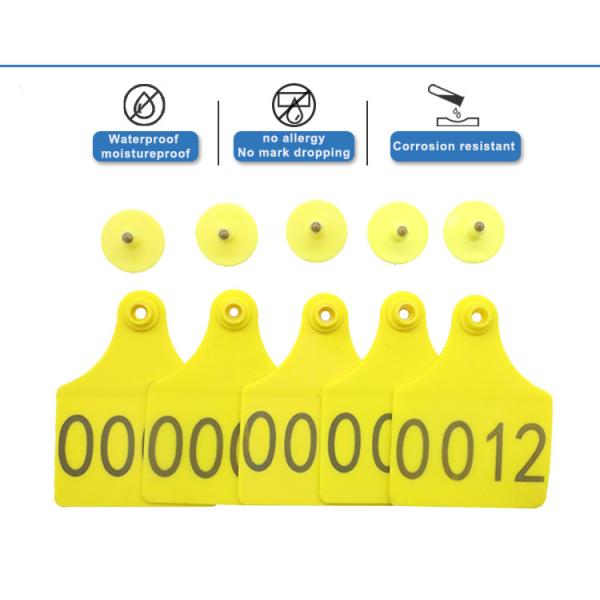 Orange Yellow Green Livestock ID Tags Cattle Management Tags 75*60mm