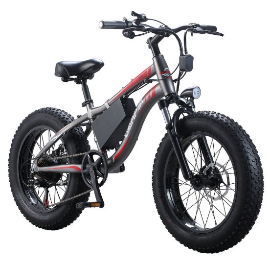 36V 500 Watt 20 Inch Fat Tire Electric Bike