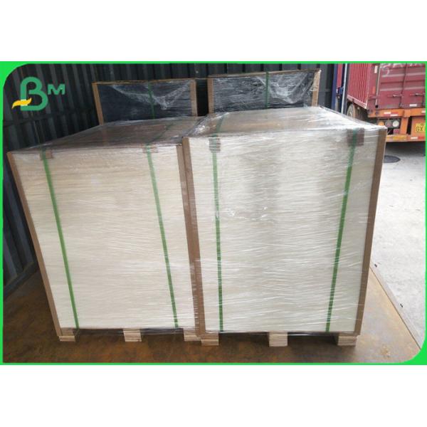 Food Grade Printable Coating White Kraft Paper For Disposable Snack Lunch Box