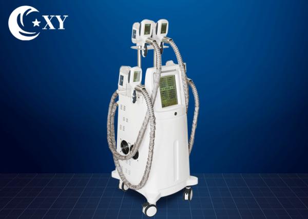 Ce Certificate Salon Cryolipolysis Slimming Machine For Fat Loss