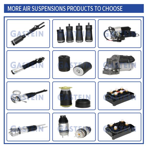 1663200030 W166 Rear Shock Absorber Air Struts Without Ads