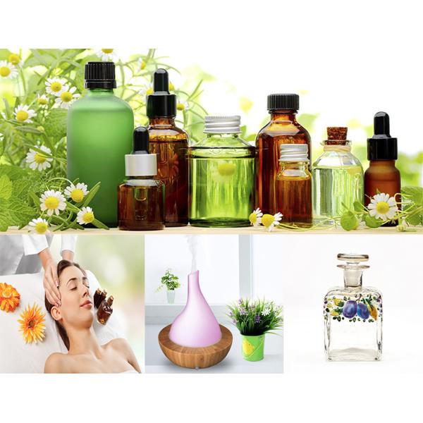 After Service Online support Jasmine Essential Oil Extraction Vacuum Water Distillation System for Neem Seed