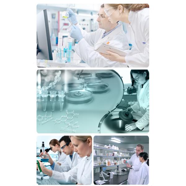 30ml 24K Active Gold Organic Face Serum Moisturizing Fine Lines