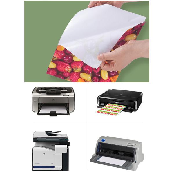 Etiqueta adhesiva de PVC autoadhesiva de alto brillo 175gm para impresora de inyección de tinta