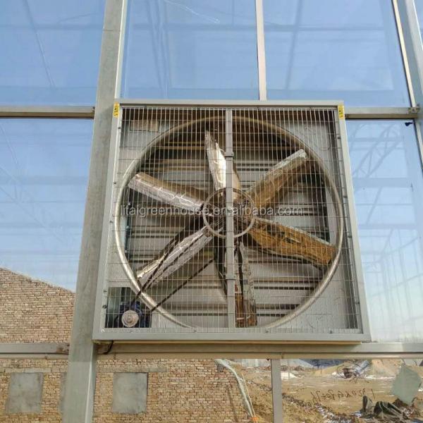 Умный контролируемый безопасный стеклянный теплица для овощей Фрукты Цветы Верхняя высота 4,8 м-6,8 м