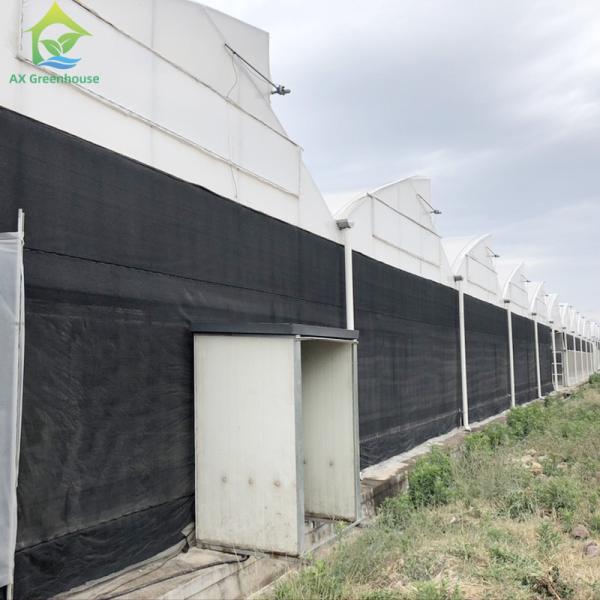 Durable Light Deprivation Blackout Multi-span Agricultural Plastic Film Greenhouse