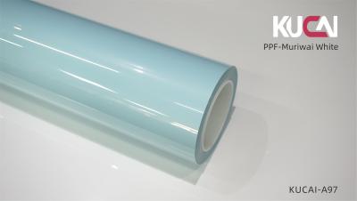 Muriwai Filtro de Proteção de Pintura de Veículos Branco Azul PPF Auto-Adesivo