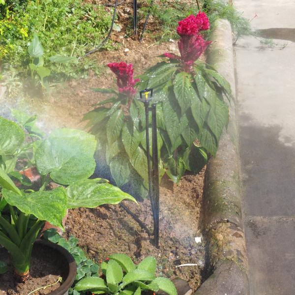 360° Garden and Farm Irrigation Sprinkler Engineering Plastic Refractive Atomization