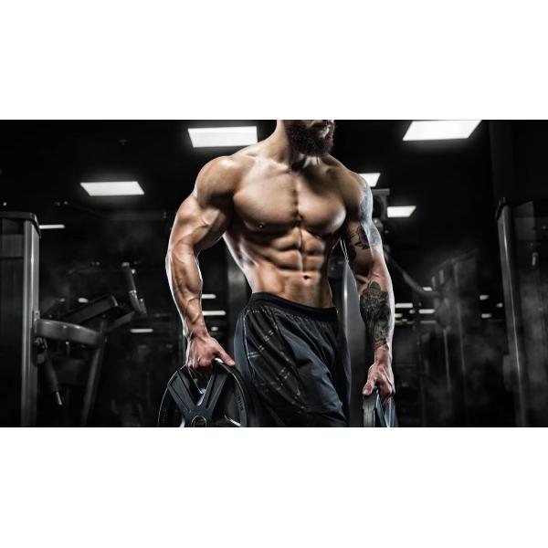 841205-47-8 Ostarine MK 2866 10mg 20mg Oral vial labels and boxes