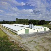 Maison en acier moderne sur mesure, maison de poulet en métal à haute résistance