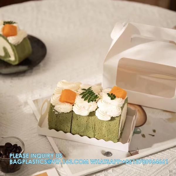 SALAD BOX, PIZZA BOX,CAKE BOX,HUMBURGER BOX,PAPER FOOD BOAT TRAY,LUNCH BOX,HANDLER,CARRIER,BOWL,CUP,