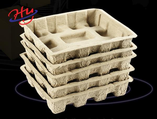 Electronic Products Paper Egg Tray Equipment with Drying Line