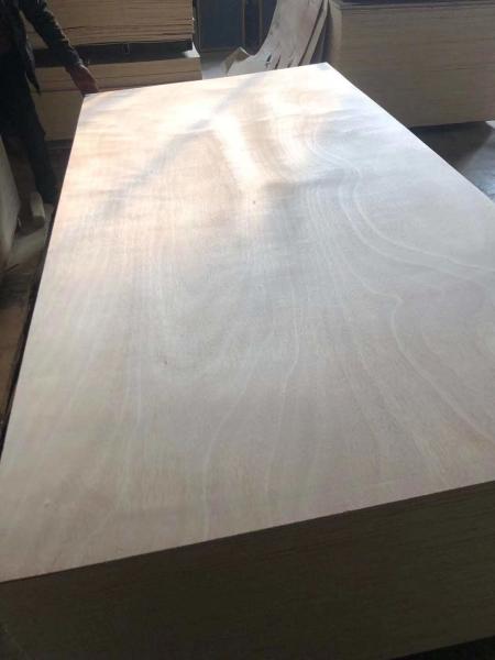 High quality cheap price multiple thickness kitchen cabinet usage Okoume veneer poplar fancy plywood