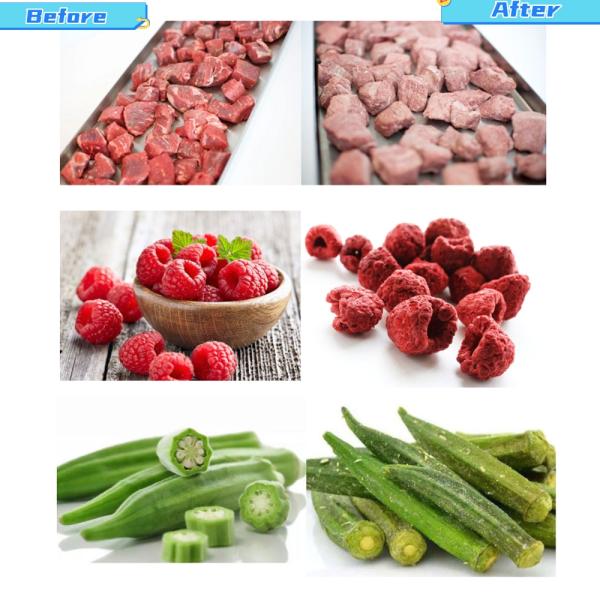 Fruits et légumes Fruits et légumes Viande et animaux de compagnie Machine de congélation