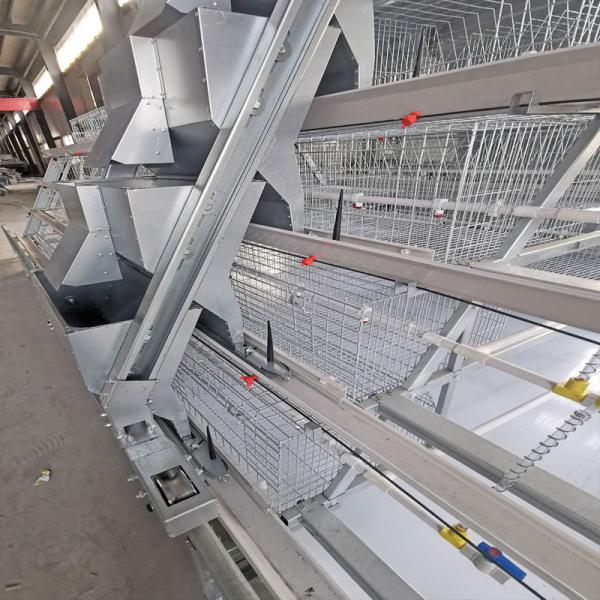 Caixa de frango do tipo A, de aço Q235 com malha de arame galvanizado a quente