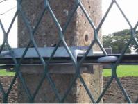 las hojas de los 4ft de los x 8ft ampliaron la malla metálica de acero galvanizada de Mesh Stainless Steel Diamond Expanded del alambre de metal