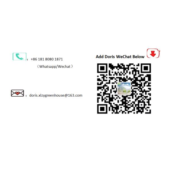 UV Resistant Greenhouse Accessories Greenhouse Film Plastic Sheeting