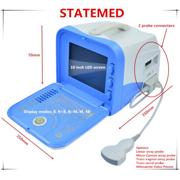 350 * 350 * 70 MM  Portable Black / White Ultrasound Scanner With 2 Probe Connectors