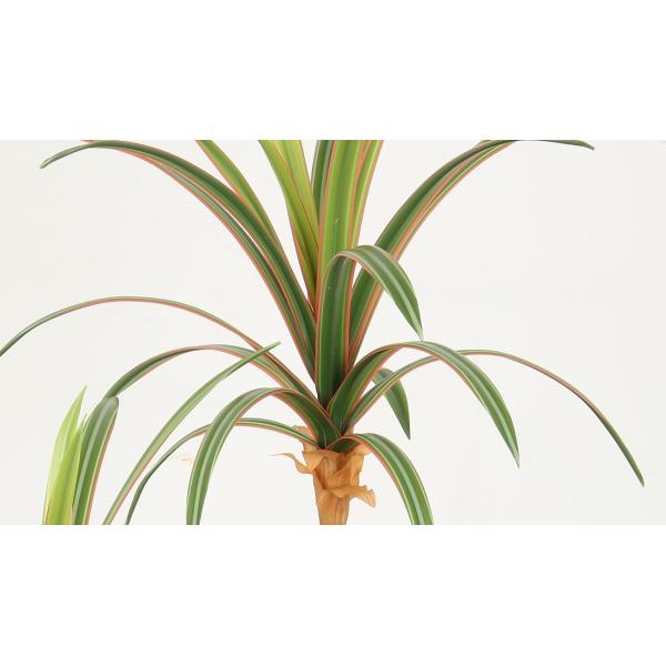 Cement Pot Artificial Dragon Faux Bonsai Tree Indoor Decoration 68 CM 76 CM