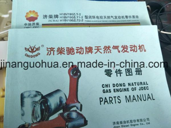 Válvula reguladora de pressão de gás natural 500GF-T Jichai Shengdong 190 cilindro Certificado CE