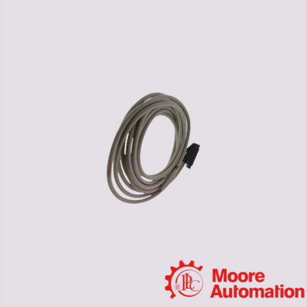 BMXFCW303 Schneider Cord Set