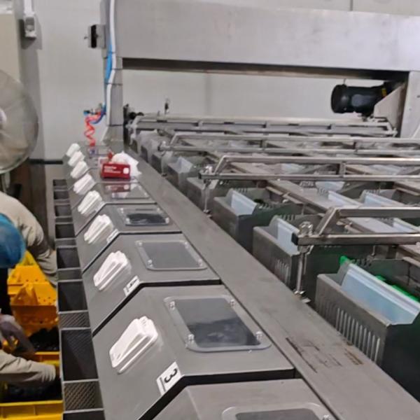 High-capacity Dates Sorting Machine With Industrial Camera, 8 lanes+10 outlets, Advanced Deep-learning, 2.6 Tons per hour