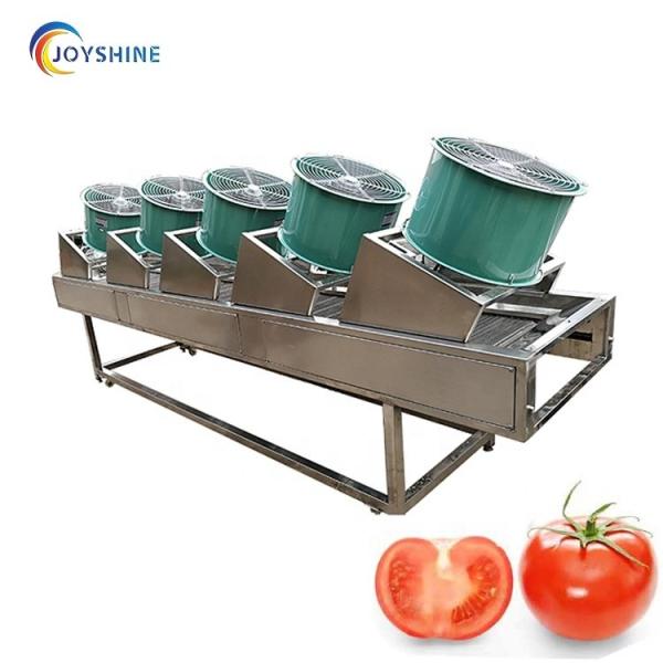 Máquina de secagem a ar 220V 380V para frutas e vegetais alimentos batatas fritas desidratação