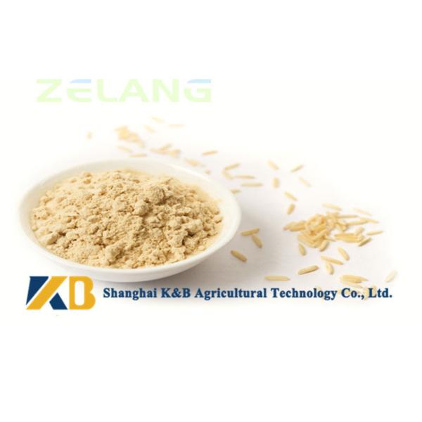 Non - Allergen Organic Brown Rice Protein Powder / Raw Rice Protein Yellowish Color