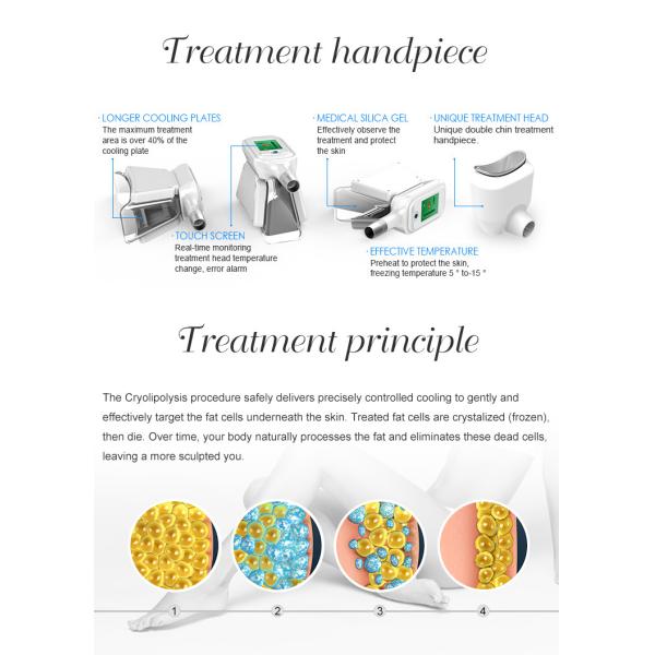2019  LaSTEst spa or clinic  use permanent cellulite cold body sculpting cryolipolysis fat freezing machine home device