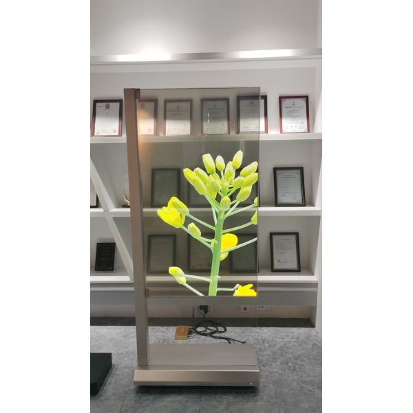 55-inch Indoor Floor-Standing Touch transparent oled display price Supports Windows and Android Systems with Built-in Memory Whole Machines OEM