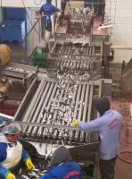 Cuatro modelos de línea automática de procesamiento de pescado y línea de clasificación de peces pequeños con 5-10T / h