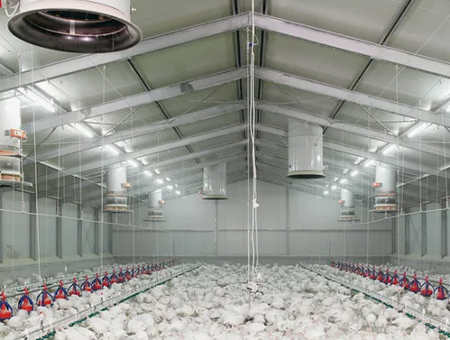 Galvanized Steel Prefabricated Chicken Coop with Mesh Screened Windows for Easy and Quick Assembly